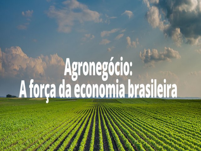 O agronegcio  a juno de inmeras atividades que envolvem, de forma direta ou indireta, toda a cadeia produtiva agrcola ou pecuria. 