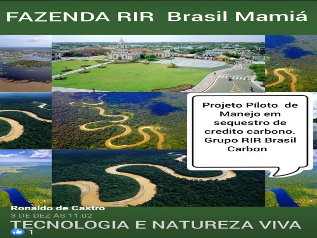 FAZENDA RIR  BRASIL MAMIA EM COARI AMAZONAS PROJETO PILOTO EM SEQUESTRO DE CREDITO CARBONO 