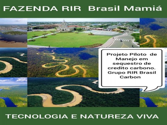 FAZENDA RIR  BRASIL MAMIA EM COARI AMAZONAS PROJETO PILOTO EM SEQUESTRO DE CREDITO CARBONO 