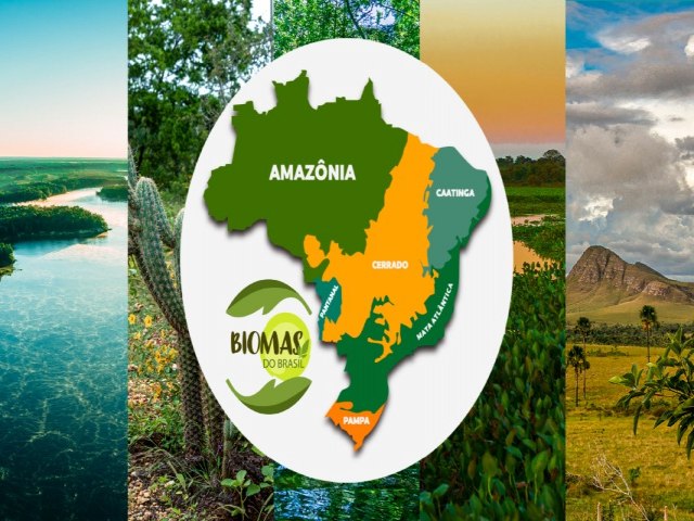 Amaznia precisa aproveitar a biodiversidade como forma de desenvolvimento econmico