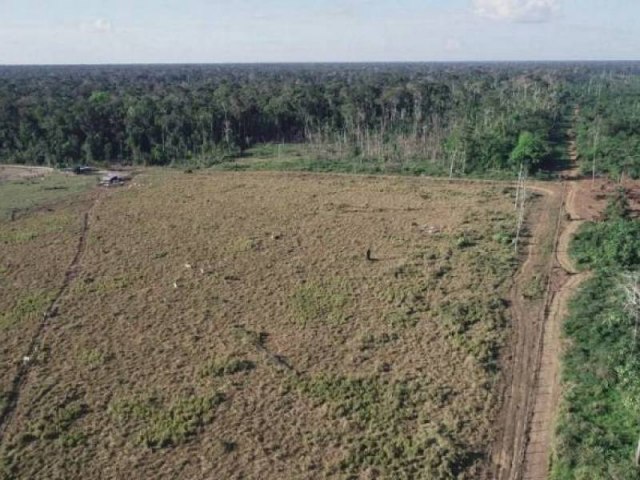 Proposta de criao de zona de desenvolvimento sustentvel incentivou desmatamento e degradao florestal na fronteira entre os estados do Amazonas, Acre e Rondnia