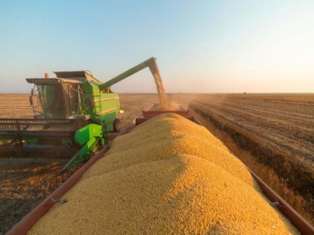 Mudanas climticas constantes impactam em aumento do seguro rural