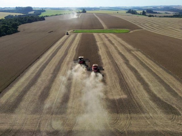 Como troca de vegetao nativa por soja pode ter agravado as enchentes no Rio Grande do Sul