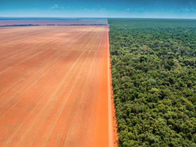 Exposio sobre preservao cultural e desmatamento em territrio Xingu chega a Goinia