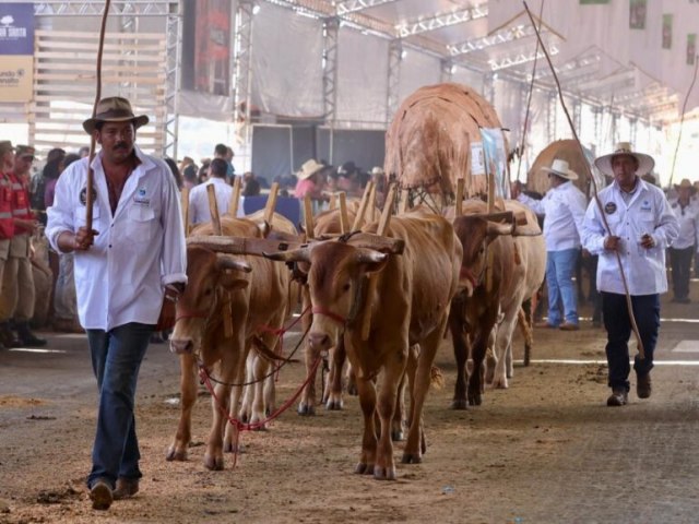 Romaria: 415 carros de boi e 10 mil cavaleiros desfilam em Anpolis