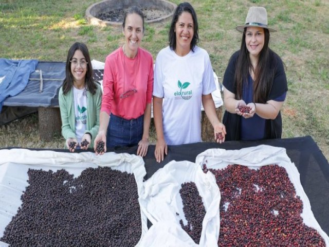 Cafeicultoras se unem para fortalecer cadeia produtiva do gro no DF