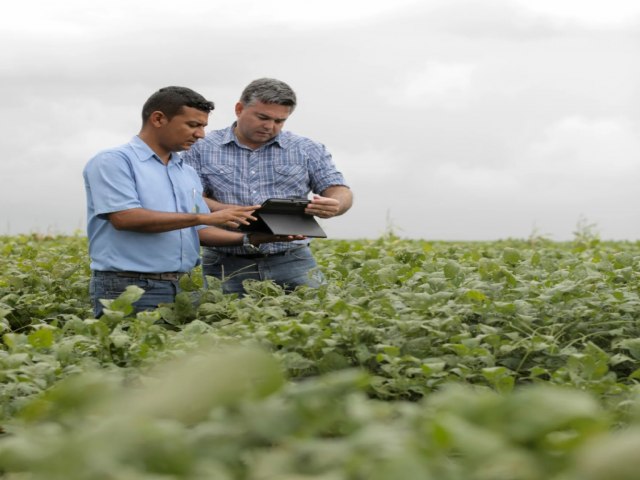 Principais desafios para capacitao e recrutamento no agronegcio de Mato Grosso