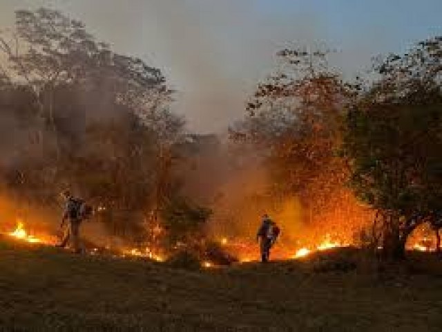 Incndio atinge Parque Estadual Altamiro de Moura Pacheco em Goinia