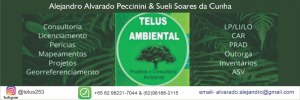 TELUS AMBIENTAL 04