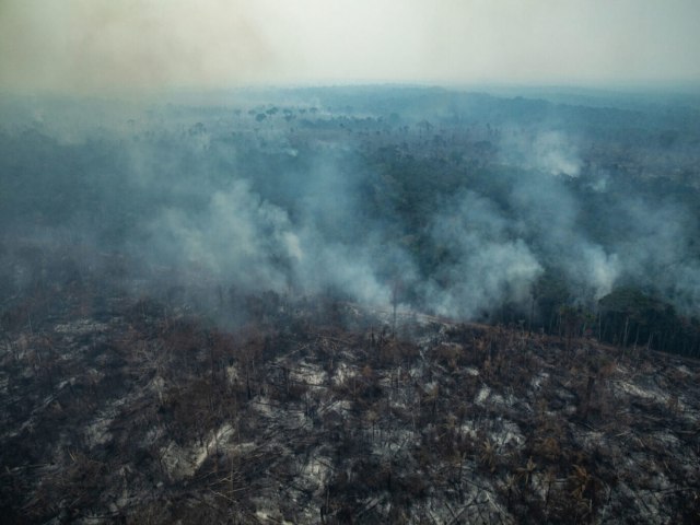 Como Bolsonaro desmontou a fiscalizao ambiental