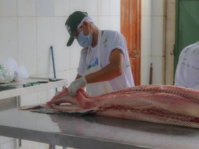 FAS OFERECE CINCO TONELADAS DE PEIXE DURANTE A FEIRA DO PIRARUCU, EM MANAUS