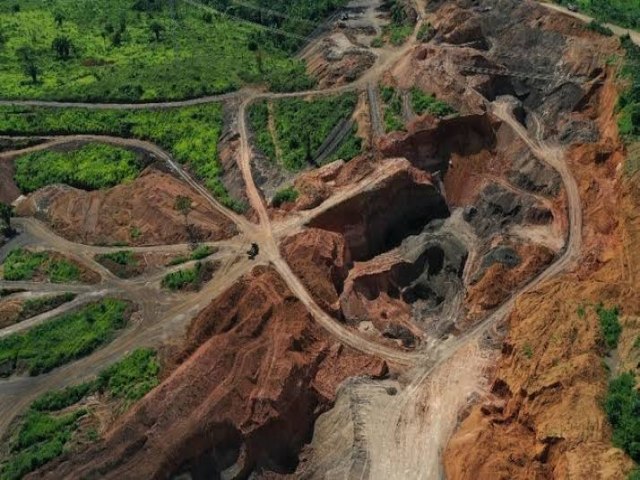 Lula determina operao de guerra contra o garimpo em terra yanomami