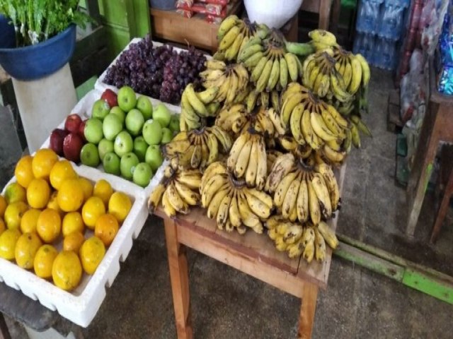 Governo do Estado do Amazonas apoia pesquisa sobre as potencialidades da fruticultura no Alto Solimes