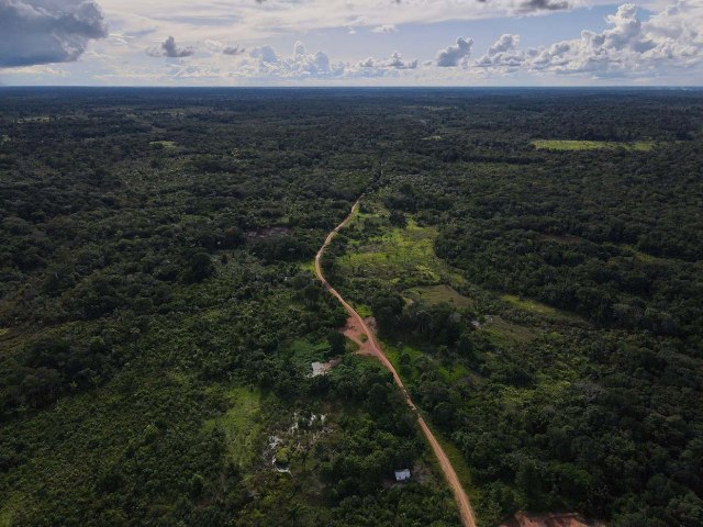 Wilson Lima insiste na minerao no Amazonas