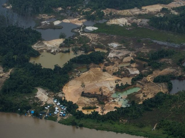 ONU Brasil pede maior proteo para o povo yanomami