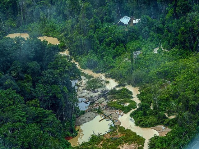 Greenpeace Brasil encontra 176 escavadeiras em terras Yanomami