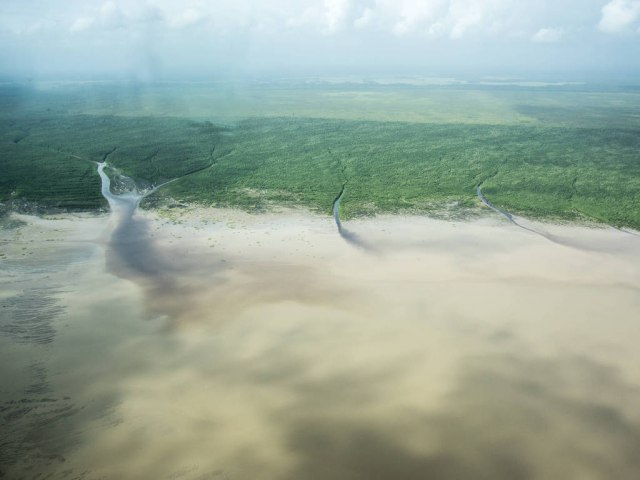 Ambientalistas e ongs so contra explorar petrleo na foz do Amazonas