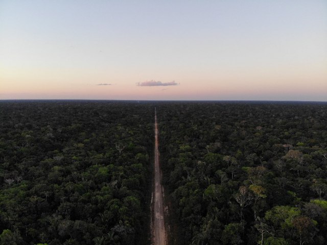 Por que a rodovia BR-319  to prejudicial: 2  A ameaa aos servios ambientais da floresta amaznica