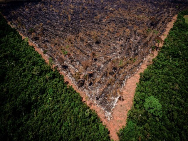 Agronegcio insiste em tirar Mato Grosso da Amaznia Legal