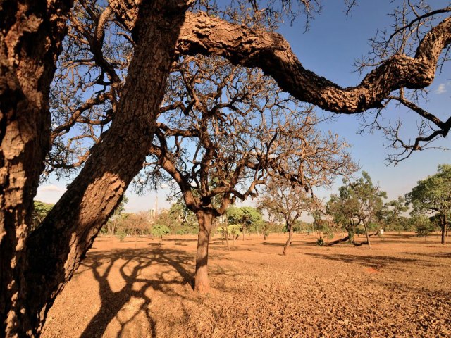 Agricultoras de comunidades tradicionais se unem em defesa do Cerrado