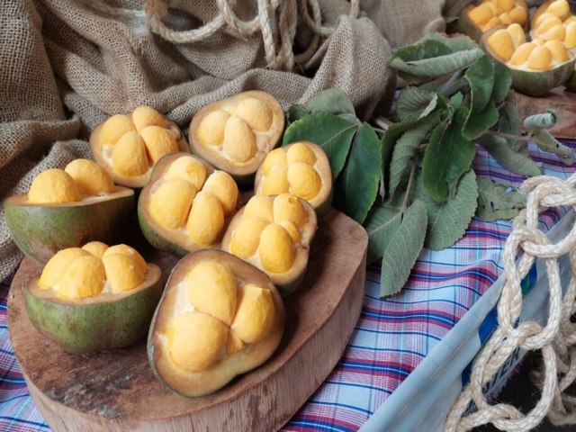 Governo de Gois expe pequi sem espinhos em festival gastronmico focado no fruto do Cerrado