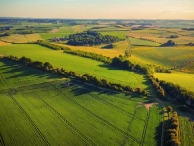  S SOJA O que  Agricultura de Preciso e quais os seus benefcios?