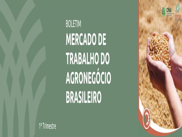 MERCADO DE TRABALHO DO AGRONEGCIO BRASILEIRO