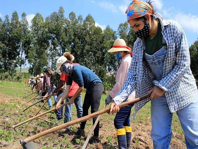 Plan Brasil Sem Fome: cmo funcionar el nuevo programa del gobierno brasileo