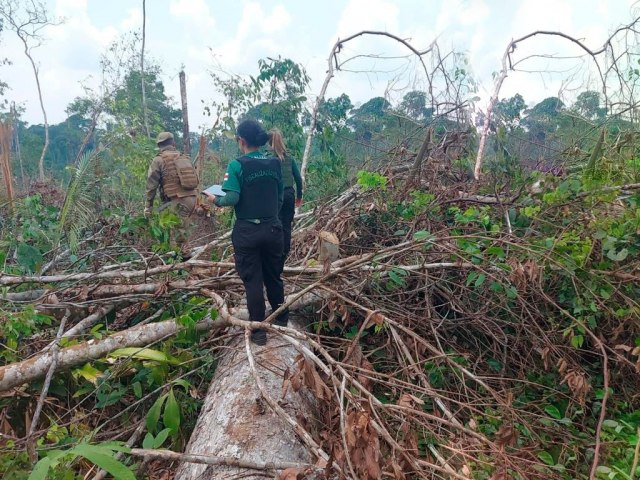 Tamoiotat: 9 fase gera mais de R$ 76 milhes em multas no sul do Amazonas