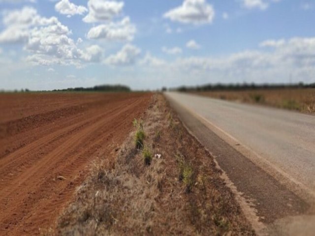 Desmatamento no Cerrado bate novo recorde no ms de setembro