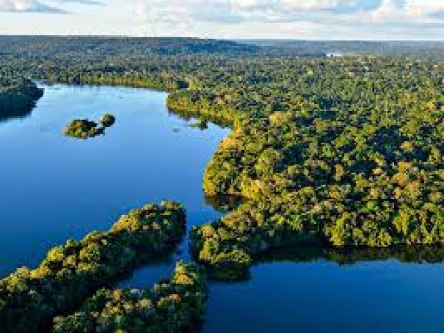 Documentao Completa para a Compra e Venda de uma Fazenda | Comprador, Vendedor e Imvel Rural