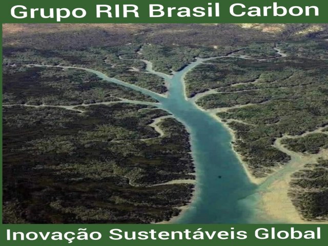 Grupo RIR Brasil & Associados Globais Trabalhado Agenda de Parceiria Publica e Privada . 