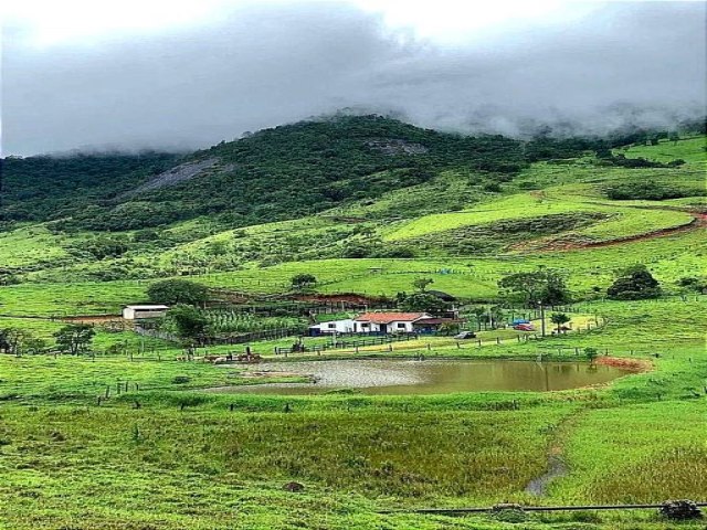 COMPRA E VENDA DE FAZENDA COM A REDE IMOBILIARIA RURAL DO BRASIL 