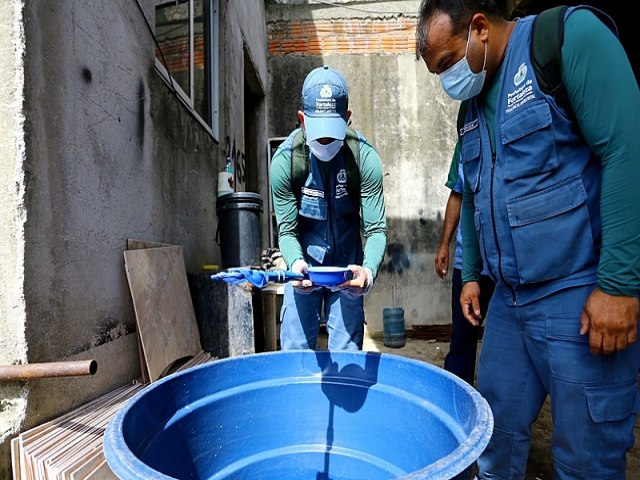 Brasil corre o risco de enfrentar epidemia de dengue em 2024