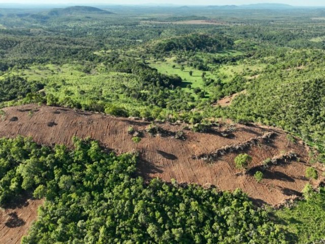 Semad flagra desmatamento ilegal de 190 hectares em Mara Rosa, no Norte de Gois