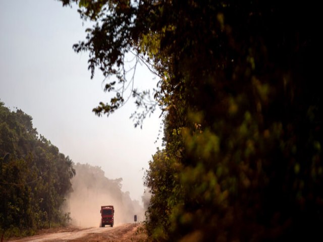 Observatrio BR-319 promoveu diversas iniciativas para fortalecer governana na rea de influncia da rodovia 