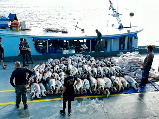 Polcia apreende 9 toneladas de pescado ilegal, em Coari (AM)