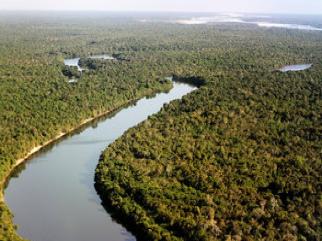 Naturatins divulga lista de entidades interessadas em compor o Conselho do Parque Estadual do Canto