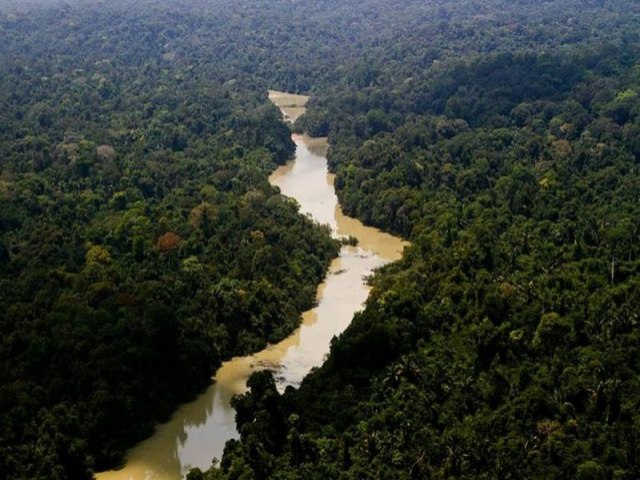 Brasil busca crescimento com agenda verde, diz Banco Mundial