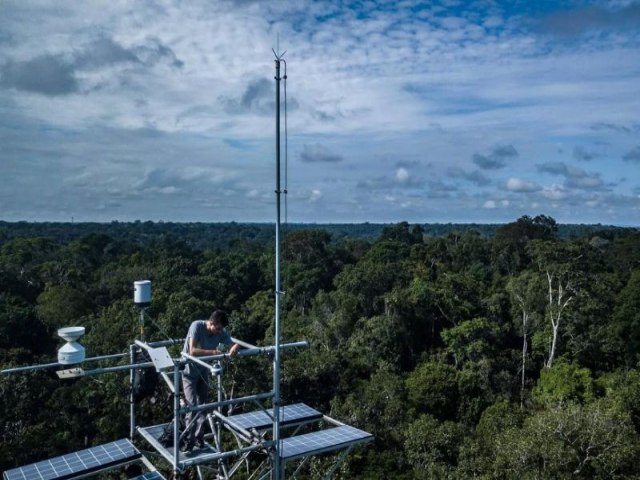 Governo cria canal para Plano Clima e reserva ambiental no Amazonas