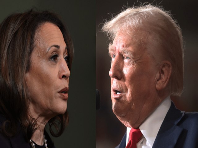 Por que chamar Trump de 'bizarro' tem funcionado para a campanha de Kamala Harris, segundo estrategistas