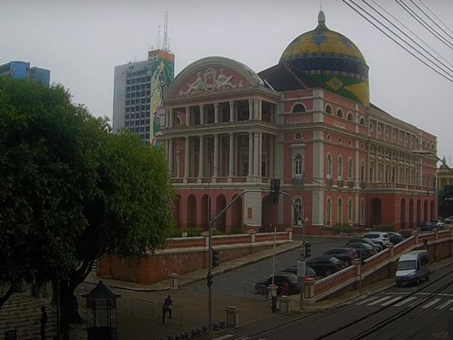 Prefeito anuncia comit, publicidade e calcrio contra fumaa em Manaus