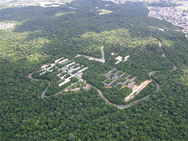 Floresta Manas  refgio silvestre urbano ainda intacto em Manaus