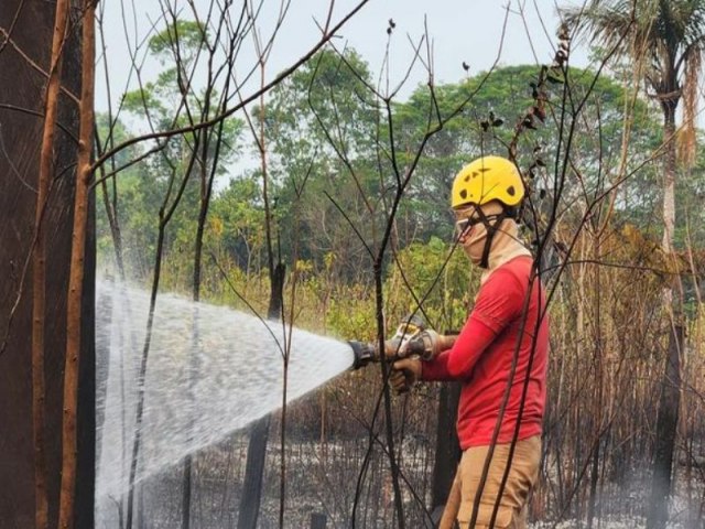 Incndios: governo federal reconhece emergncia em Manaquiri (AM)