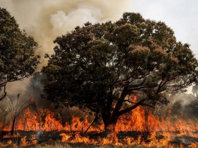 Brasil tem 22,38 milhes de hectares atingidos pelo fogo em nove meses