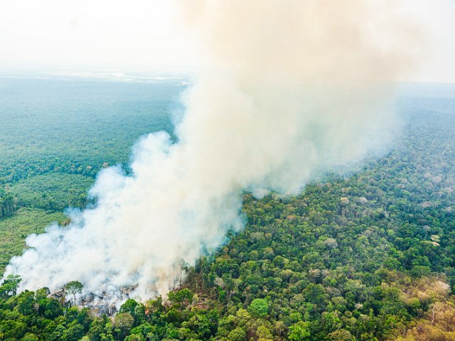 Brasil  o quinto pas do mundo na produo de gases do efeito estufa