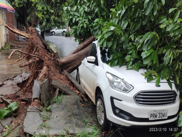 Tempestade derruba rvores, arrasta tendas e derruba barracas em Goinia