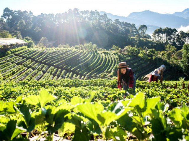 Mulheres conquistam mais espao nas agroindstrias