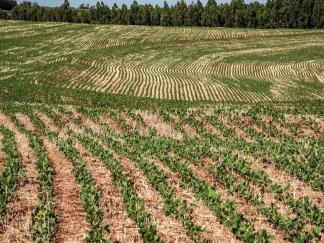 Aumento do custo de produo faz crescer financiamento entre produtores