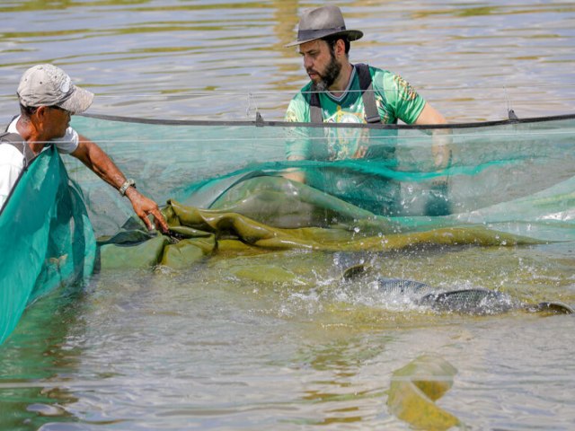 Aquicultura do DF recebe certificado de monitoramento de doenas